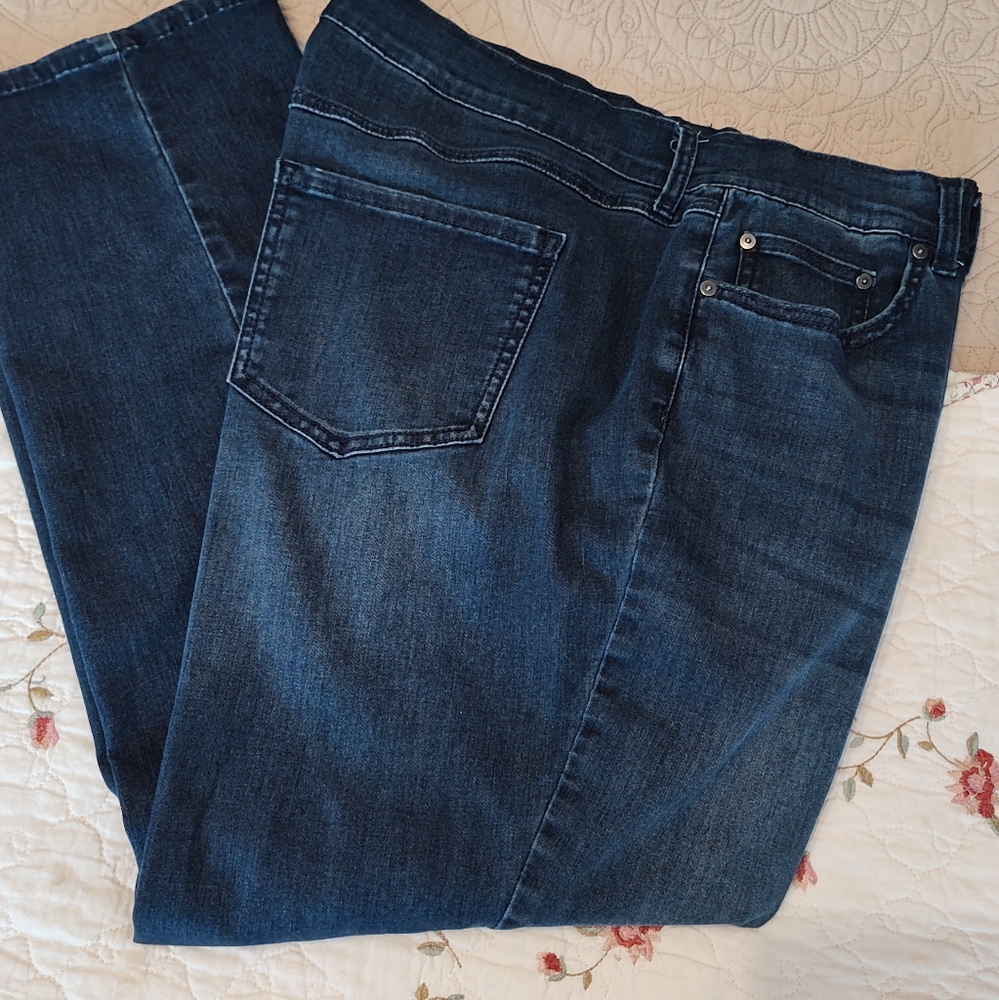 Dk Wash Terra & Sky Classic Jeans - 18W